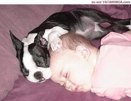 je les trouvent tres mignons.......et vous???
